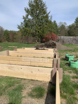 Let the Planting Begin