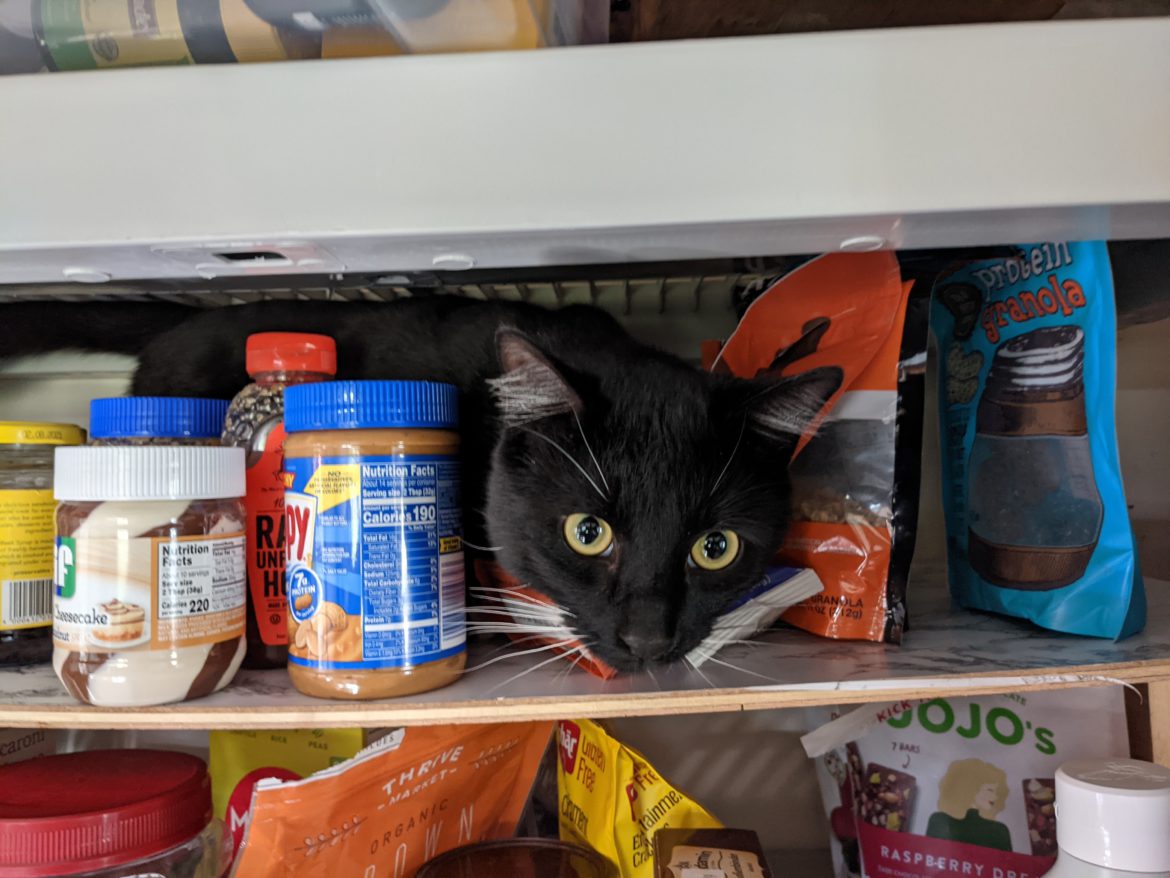 When you’ve been everywhere …